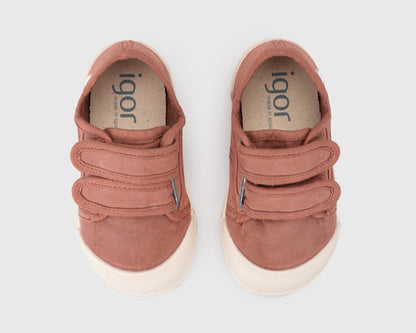 Lona Igor V. Terracota